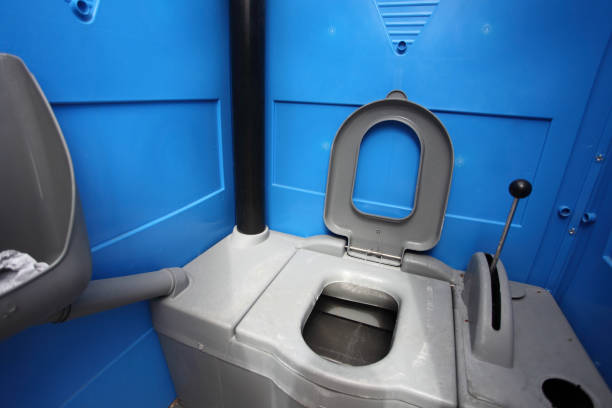 Best Sanitation services for porta potties  in Horseshoe Bend, AR