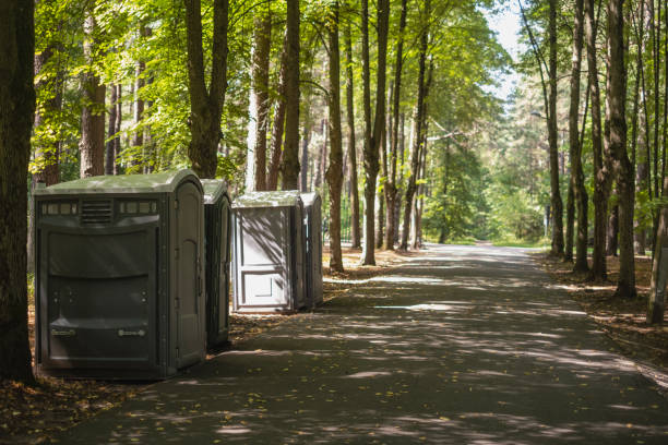 Portable Toilet Options We Offer in Horseshoe Bend, AR